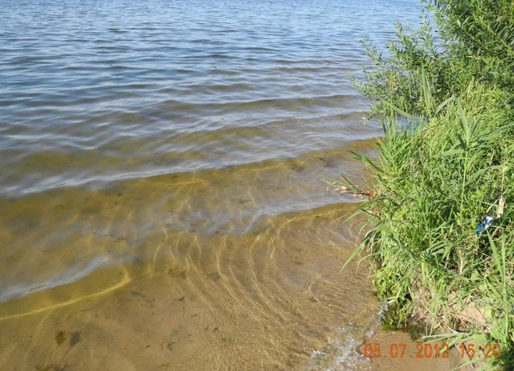 Matyrskiy Water Reservoir, Lipetsk city (after 4 years algolization)