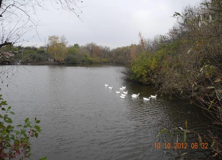 The Pond in Lipetsk city