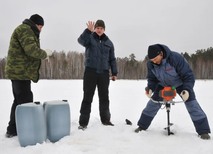 Introduction of Chlorella into Beloyarsk Water Reservoir