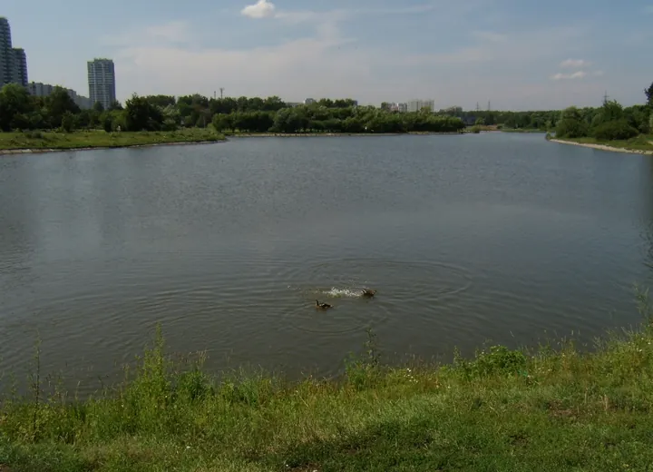 Altufievsky pond in Moscow