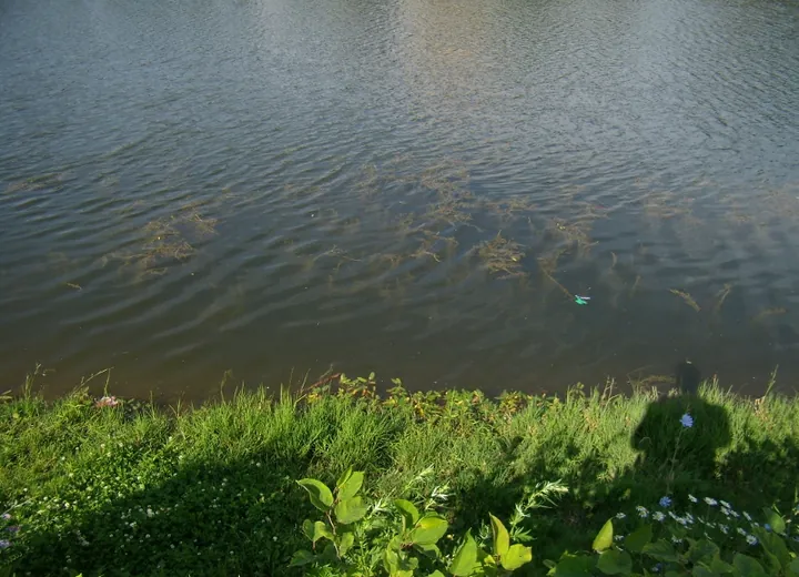 Kakhovsky pond,Moscow