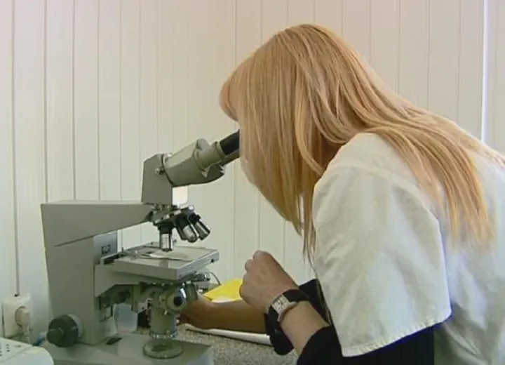 The Laboratory