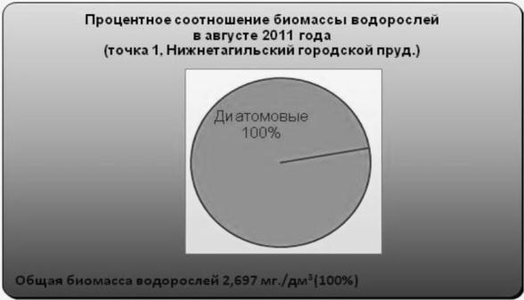 Биологическая реабилитация Нижнетагильского городского пруда методом коррекции альгоценоза в 2010 – 2012 гг.
