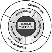 Структурная перестойка фитопланктонного сообщества как теоретическая основа биологической реабилитации водных объектов