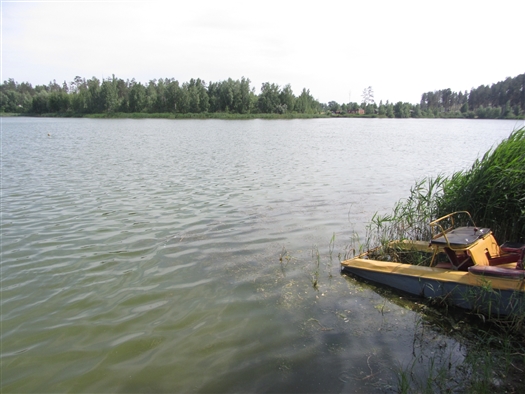 В Тольятти обсудили проблему очистки водохранилища от сине-зеленых микроводорослей