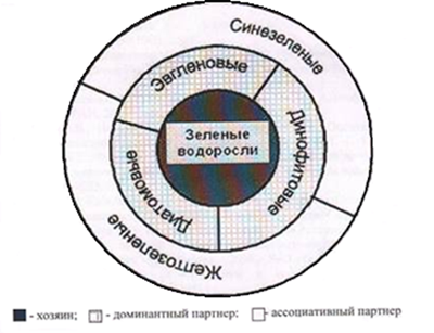 Фрактальный анализ биологической реабилитации водных объектов методом коррекции альгоценоза