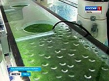 Новость Тверской Государственной телевизионной и радиовещательной компании (Россия1 - Тверь)