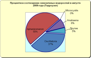 Матырское водохранилище 2010