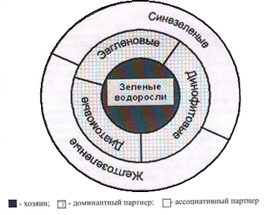 ОБ ИЗМЕНЕНИИ СТРУКТУРЫ ФИТОПЛАНКТОННОГО СООБЩЕСТВА МАТЫРСКОГО ВОДОХРАНИЛИЩА  В ТЕЧЕНИЕ ВЕГЕТАЦИОННЫХ СЕЗОНОВ  2010 – 2012 И 2014 – 2015 ГОДОВ.