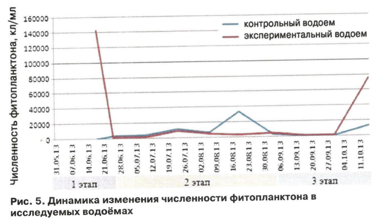 ПРЕДОТВРАЩЕНИЕ ЗАГРЯЗНЕНИЯ ПРИРОДНЫХ ВОДОЁМОВ ЦИАНОТОКСИНАМИ С ПОМОЩЬЮ МИКРОВОДОРОСЛИ CHLORELLA VULGARIS ИФР №С-111