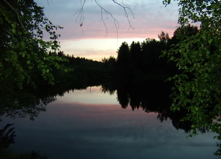 Удмуртия. 2010 год.