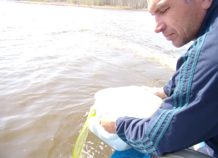Нижнетагильское водохранилище. Послепаводковая альголизация.