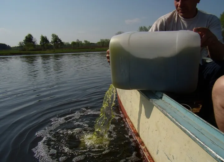 Нижнетагильское водохранилище. Летнее вселений 2010 год