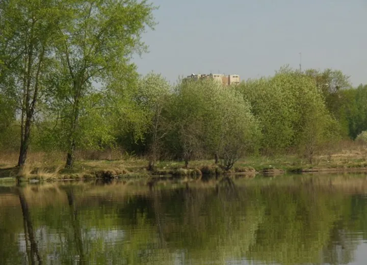 Нижнетагильское водохранилище. Точка вселения 2010 год