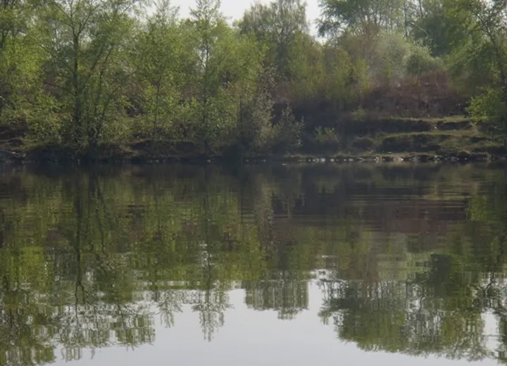Нижнетагильское водохранилище. Точка вселения хлореллы май 2010 год