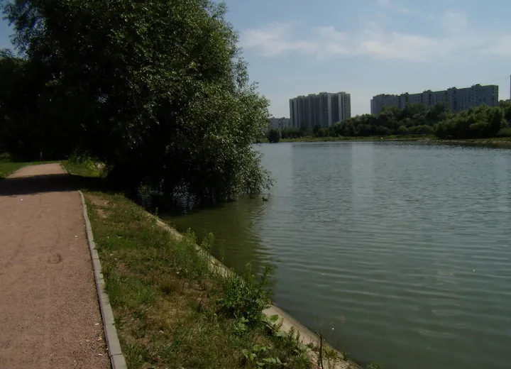 г.Москва Алтуфьевский пруд.