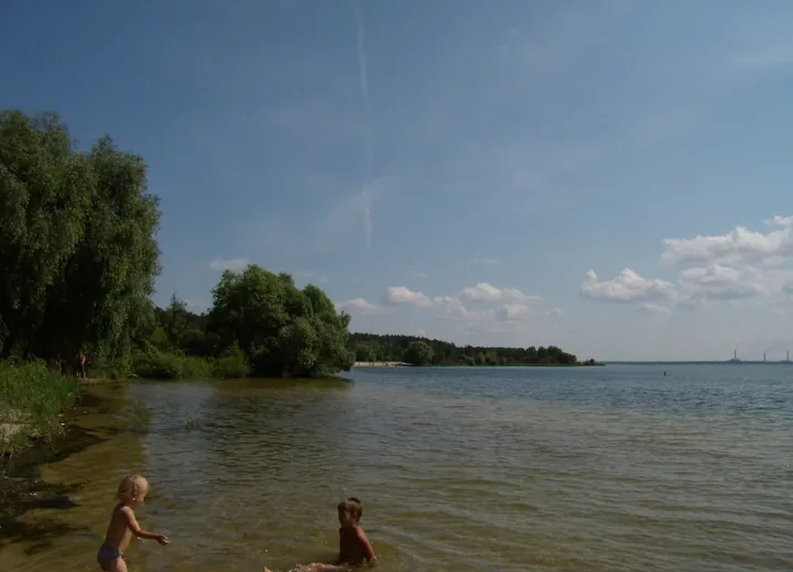 Матырское водохранилище. Июль 2011г. Альголизация проводится 3 год.