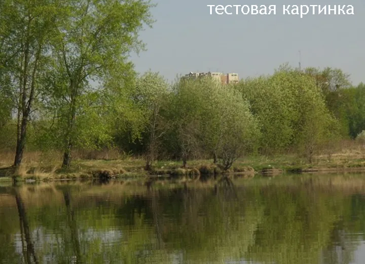 Еще тестовое фото