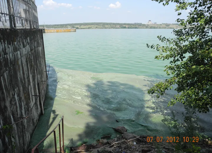 Состояние Воронежского водохранилища (Плотина) (альголизация не проводилась)