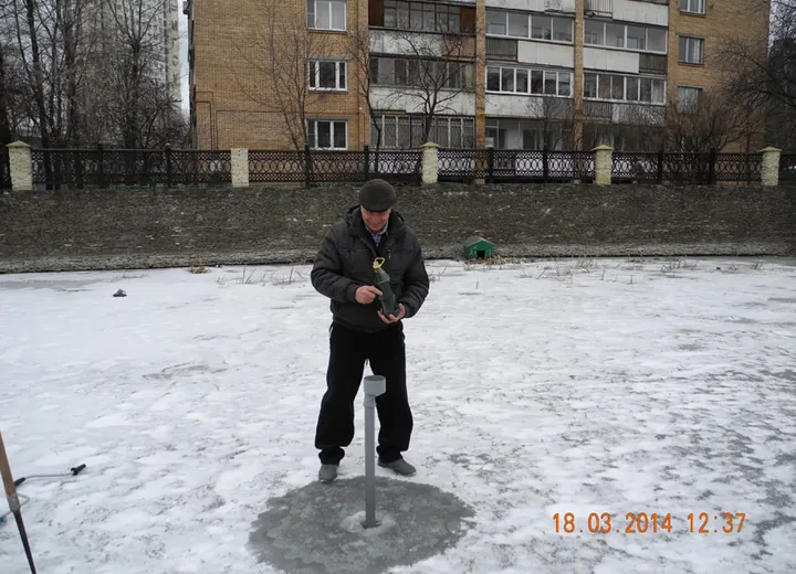 Ярославский пруд (ул. Вешних вод, 2-21) площ. F=0,3 га